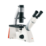 Inverted Light Microscopes