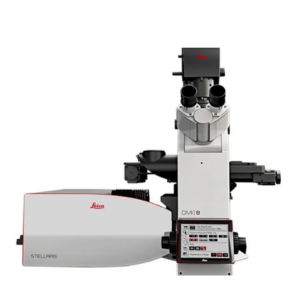 STELLARIS DIVE Multiphoton Microscope