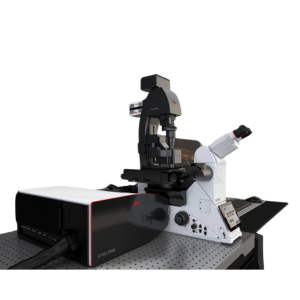 STELLARIS DLS Light Sheet Microscope