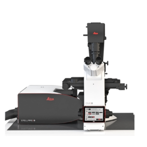 STELLARIS FALCON FLIM Microscope