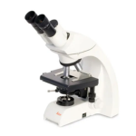 Compound Light Microscope